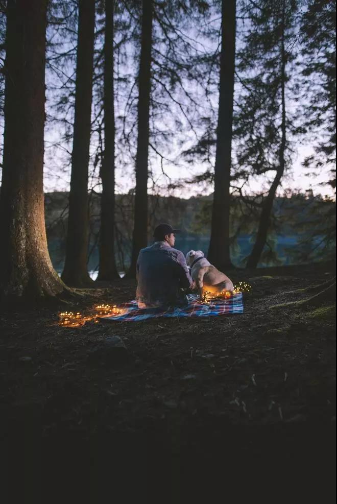 1517635672223594.jpg 微信图片_20180203132440.jpg