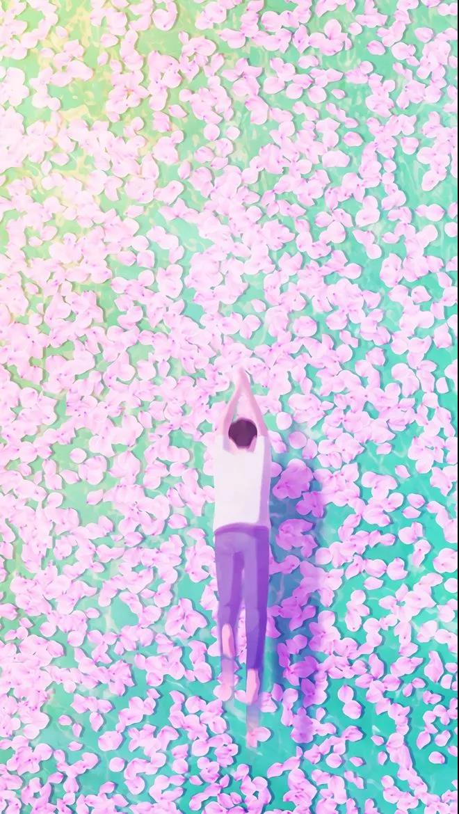 1517635695223780.jpg 微信图片_20180203132652.jpg