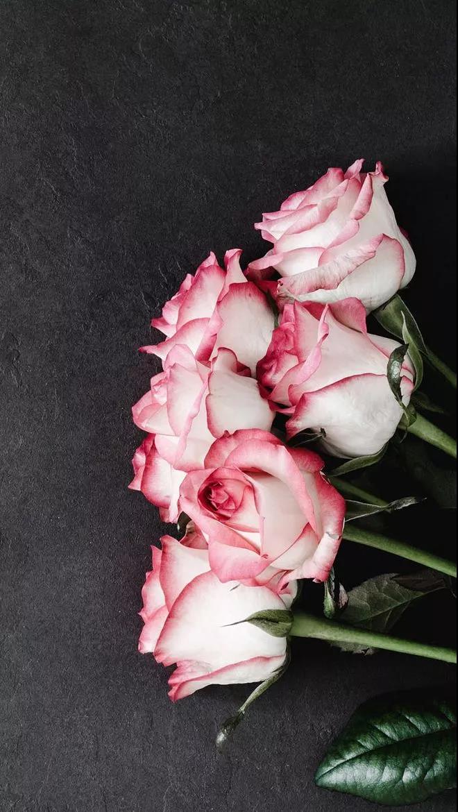 1517635710147411.jpg 微信图片_20180203132700.jpg